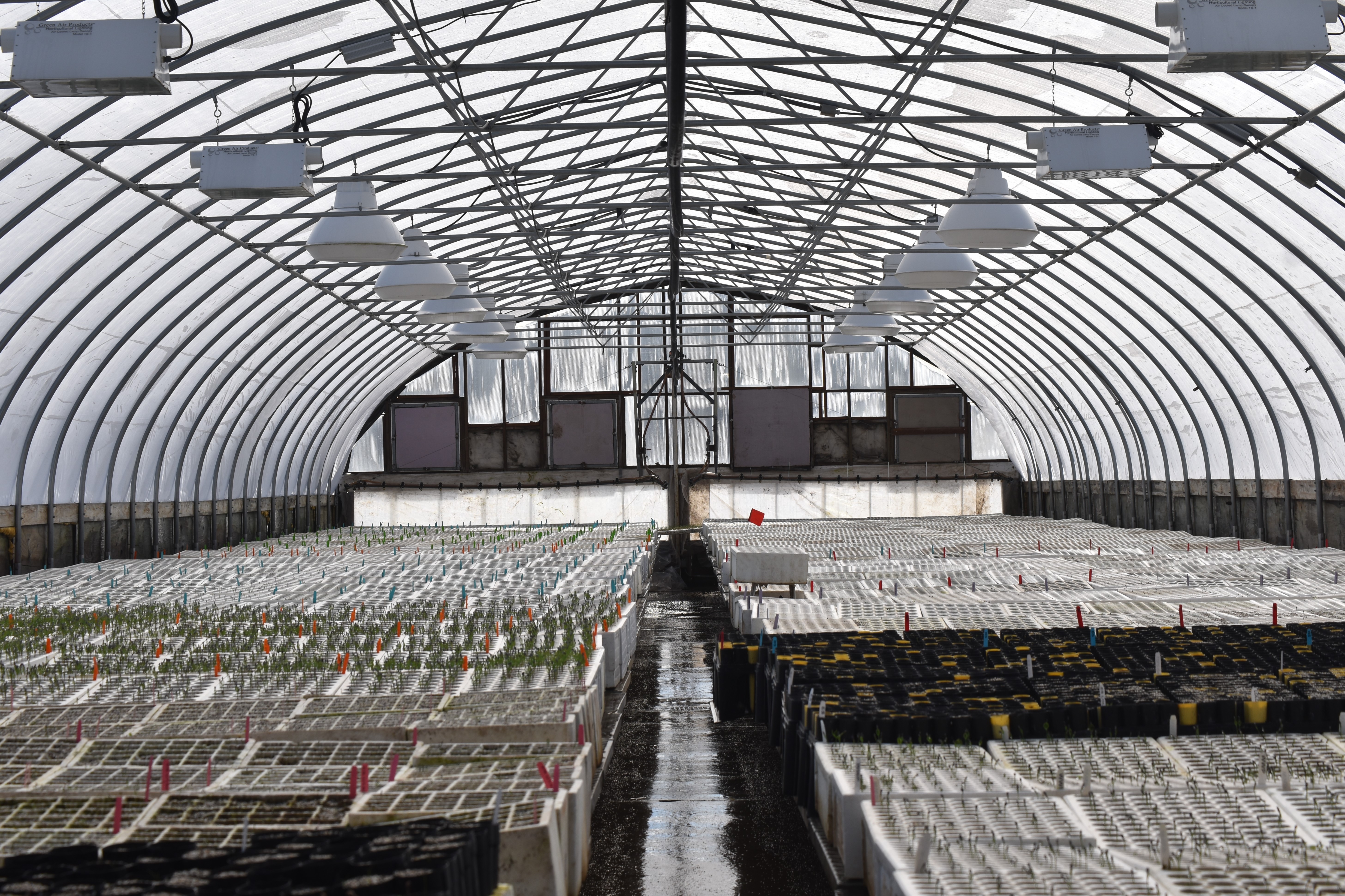 Mission greenhouse freshly sown with new seedlings emerging