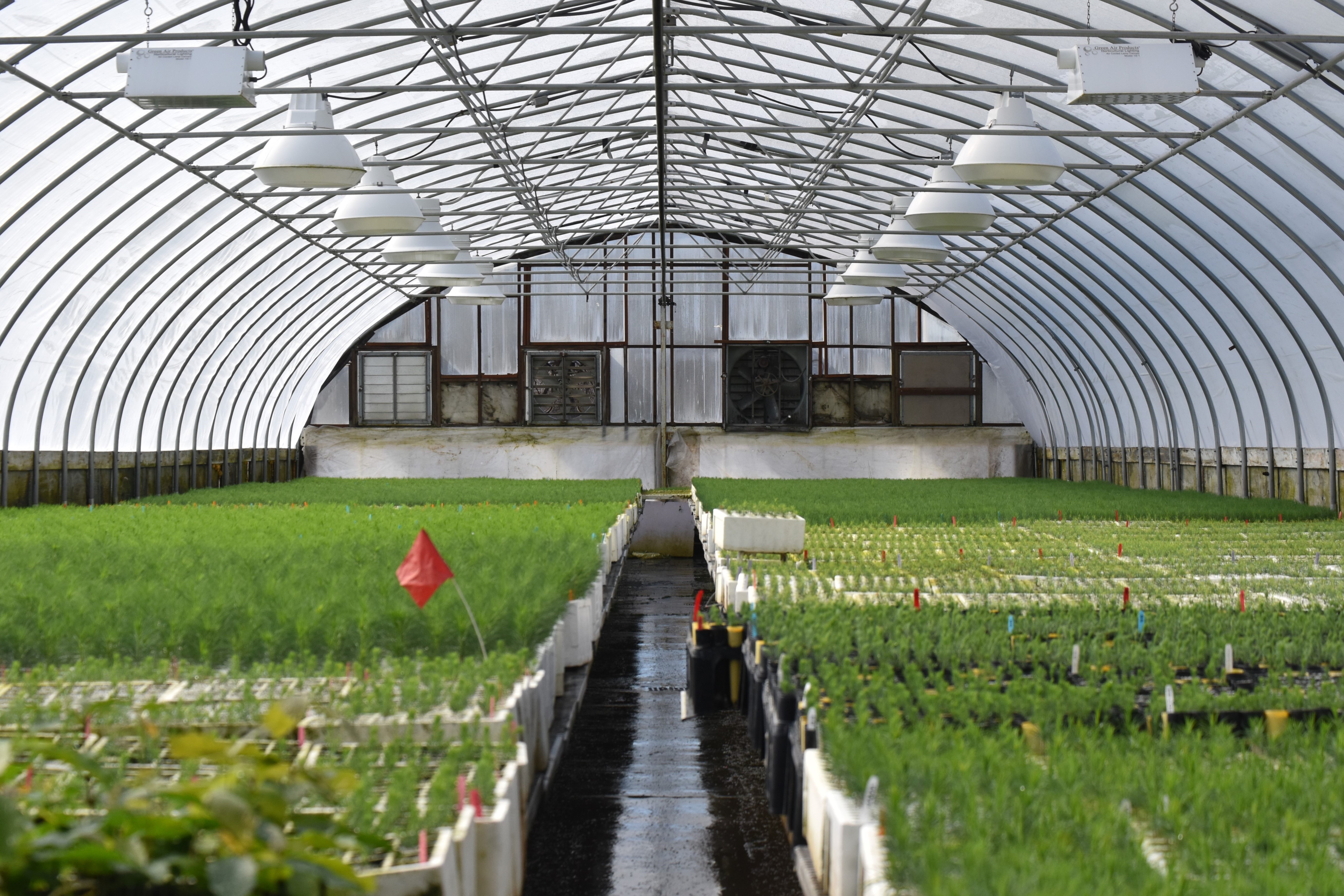 Mission greenhouse with freshly sprouted seedlings