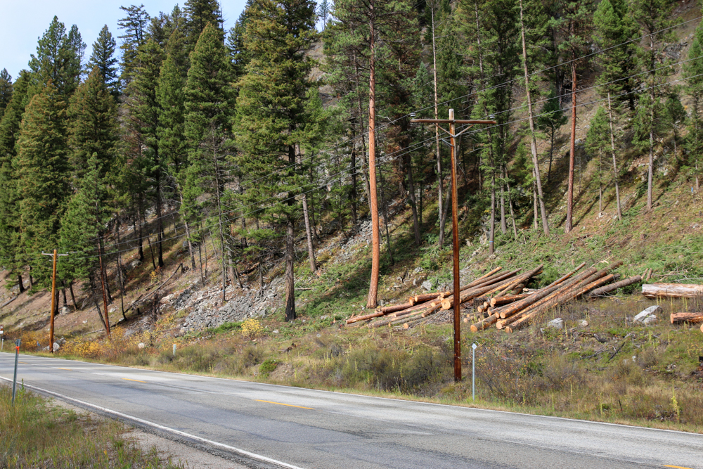 Power lines along road and downed timber