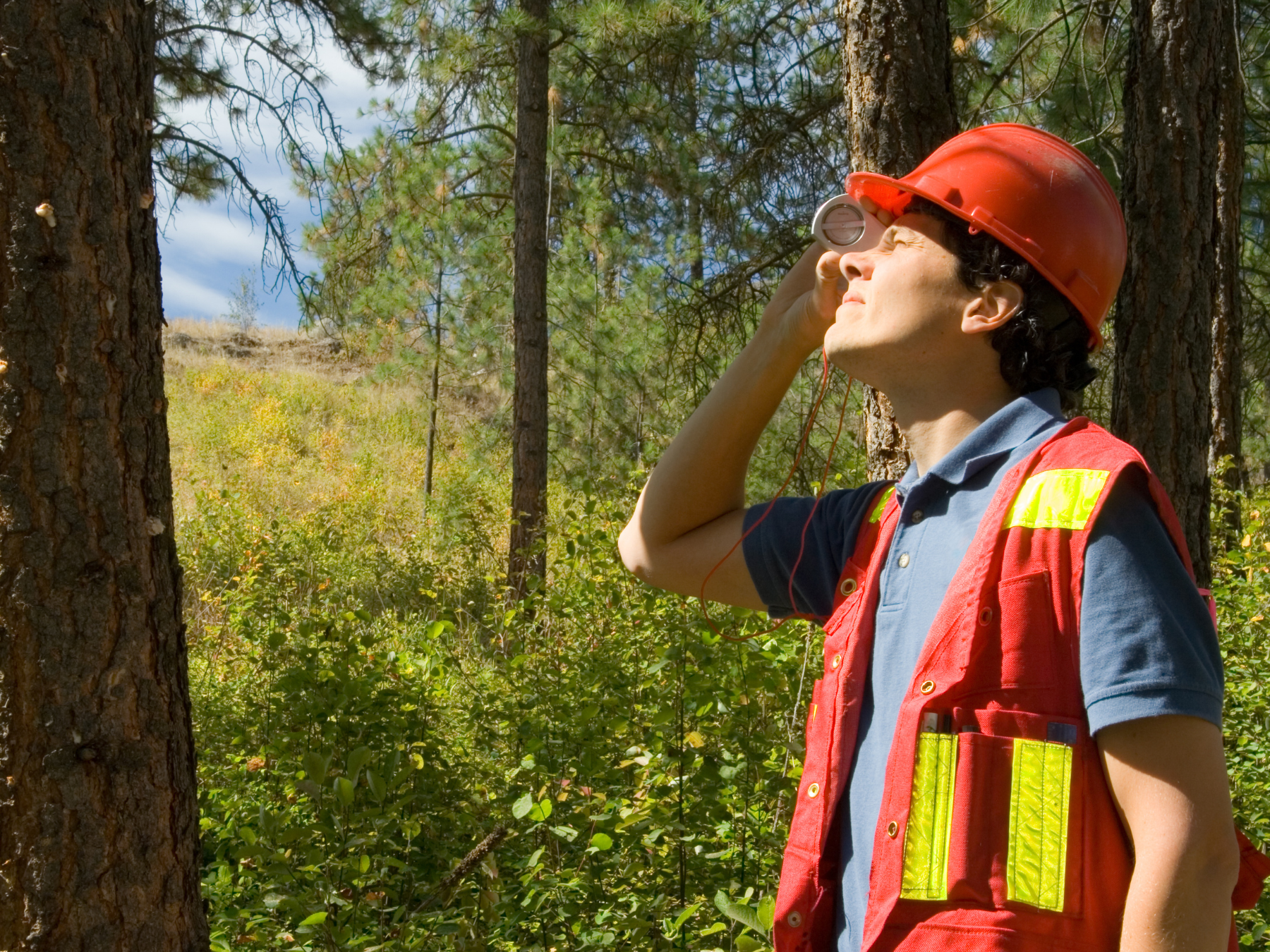 consulting forester measuring tree height with tool