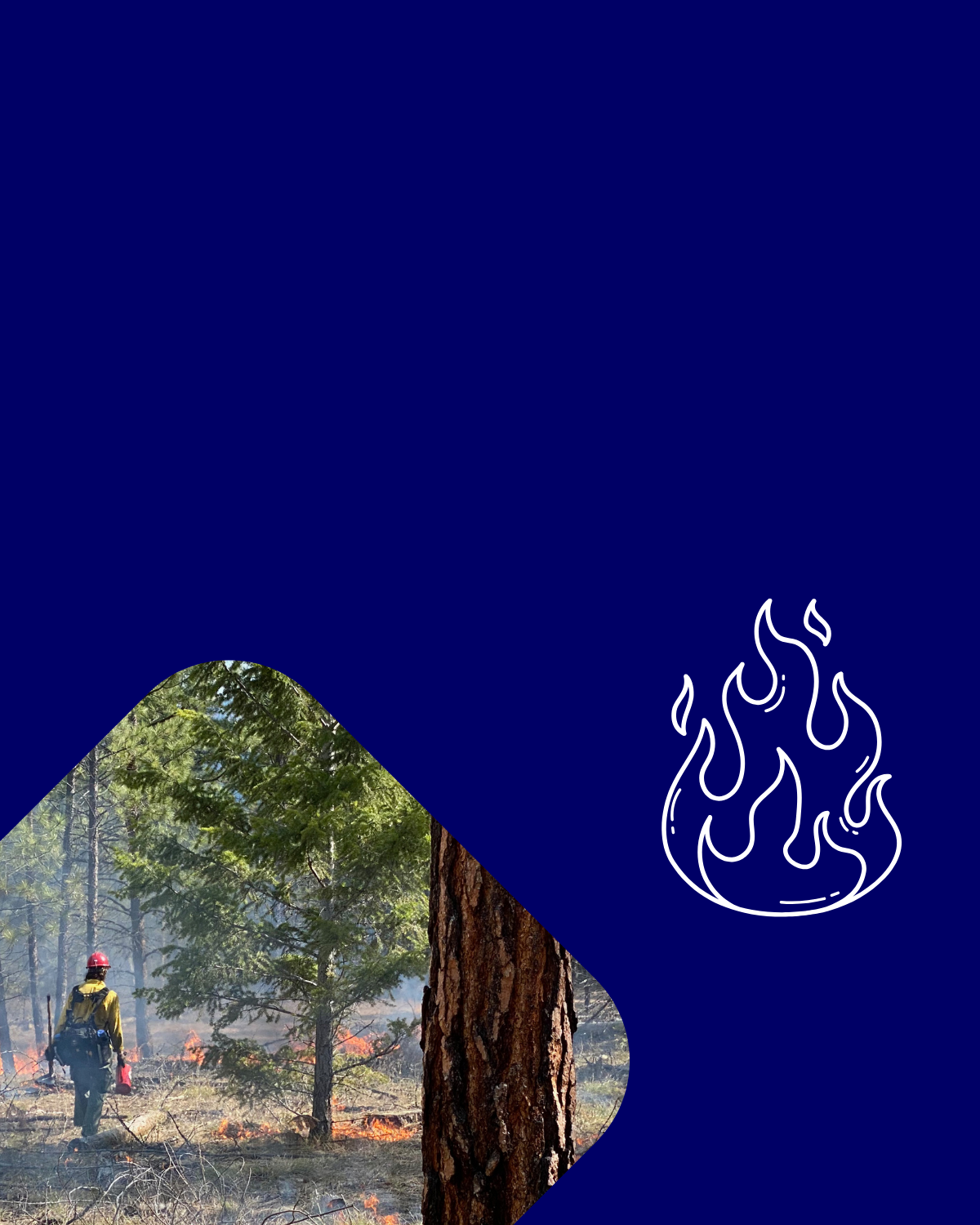 Fire and your forest menu option tab with photo of prescribed fire and igniter in a ponderosa pine forest