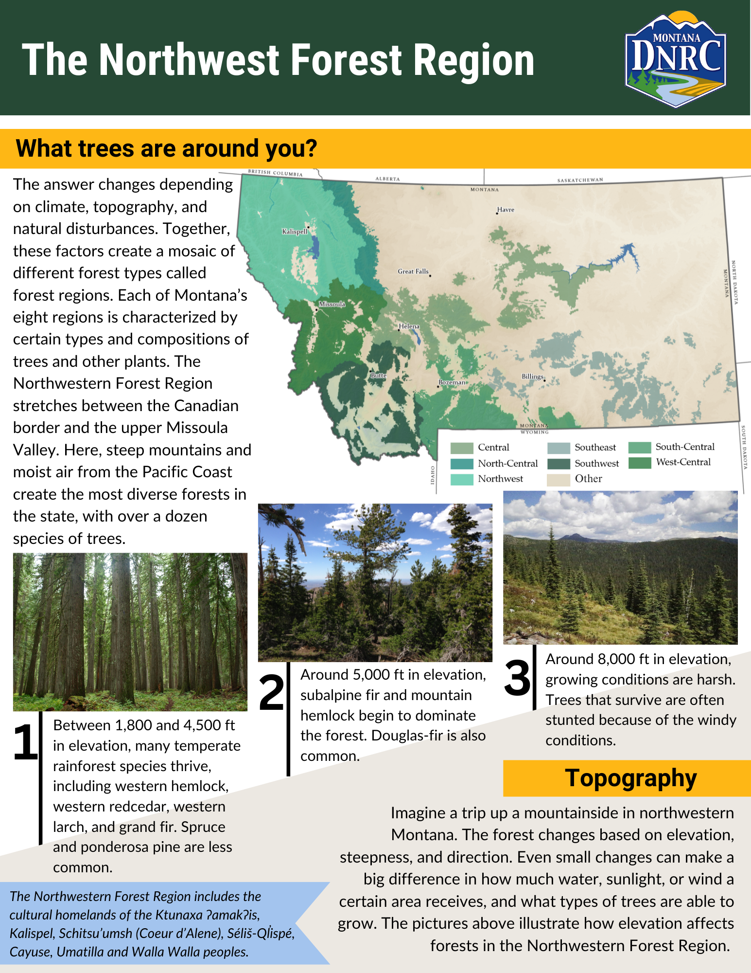 Northwestern-Forest-Region-One-Pager-2.png