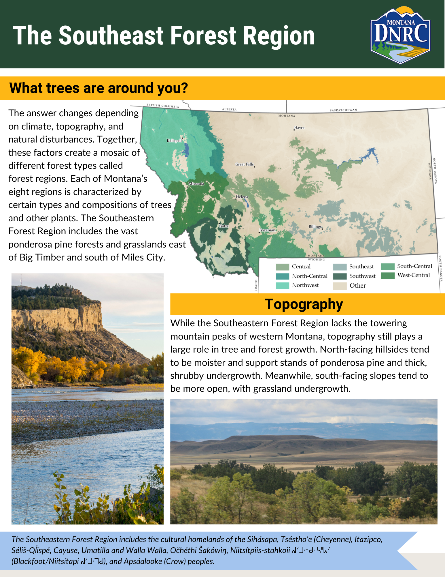 Southeastern-Forest-Region-One-Pager-1.png