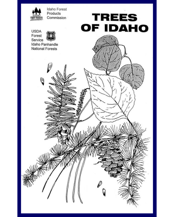 treesofidaho.png