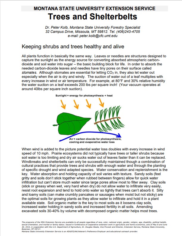 front cover of shelterbelts document