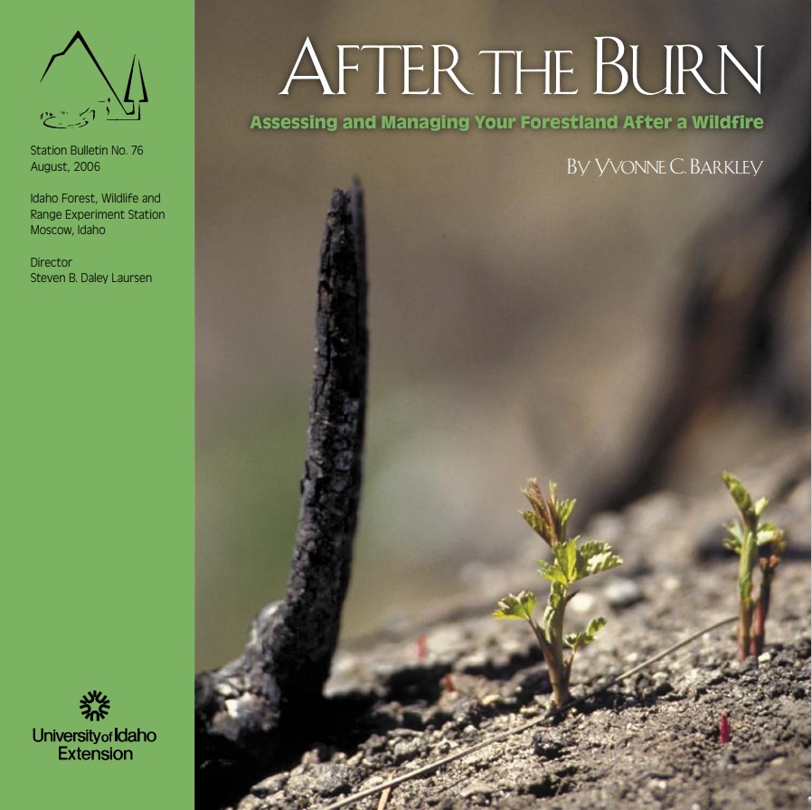 Front cover of after the burn publication with resprout plant in burned soil