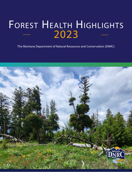 front cover of forest health highlights with unhealthy pine tree