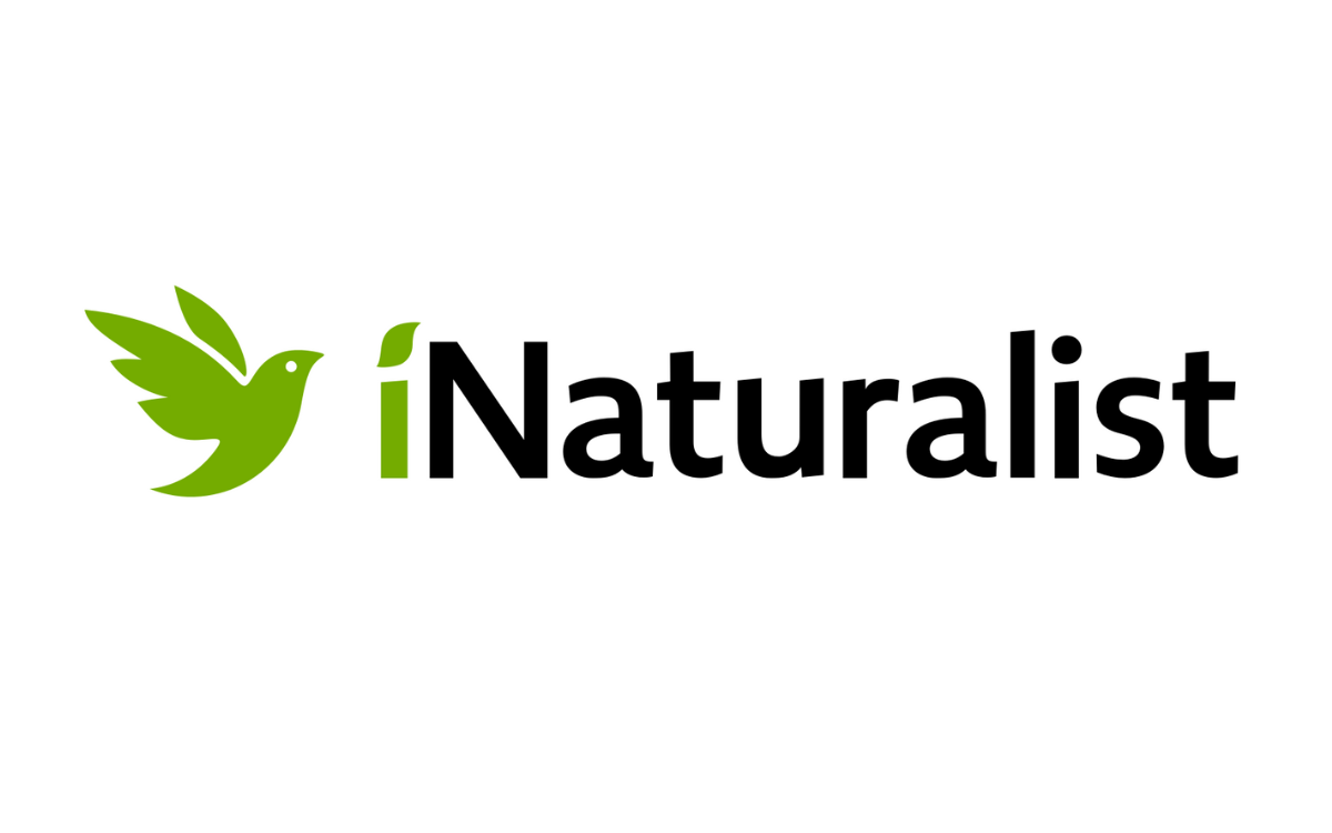 iNaturalist logo 