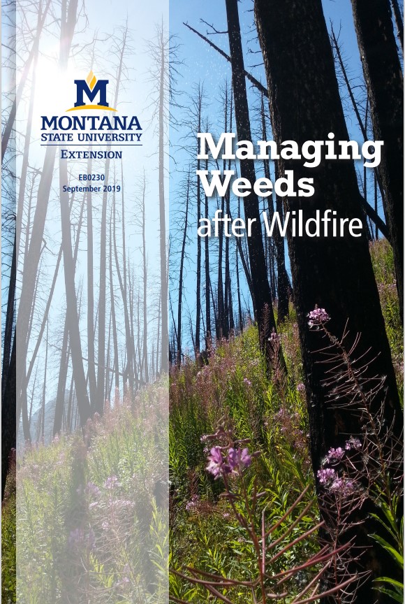 Front cover of Managing Weeds after Wildfire with burnt trees in background