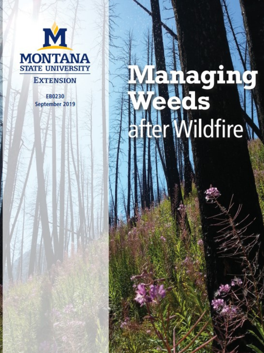 front cover of managing weeds after wildfire with burn forest with regrowth in background