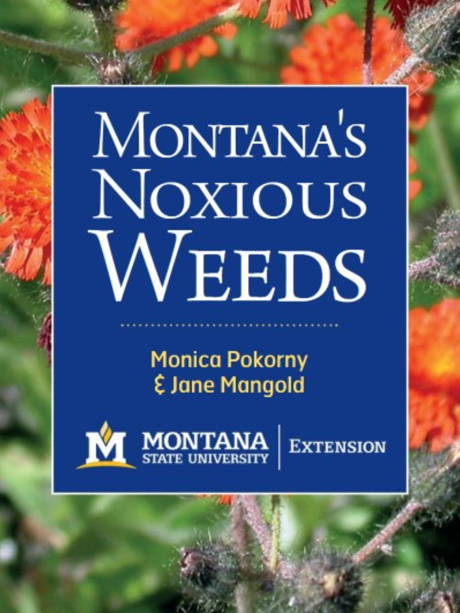 front cover of Montana's noxious weeds with noxious weeds in background