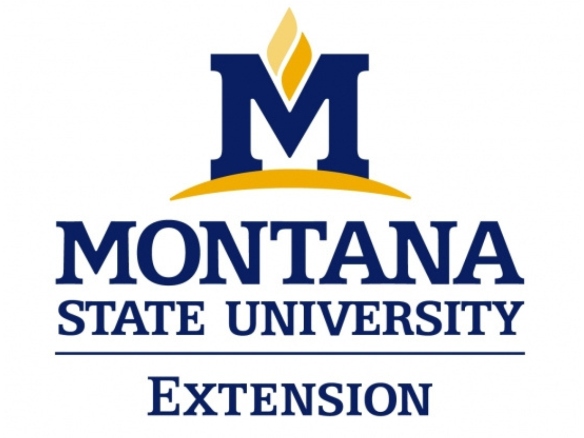 MSU extension logo blue and yellow