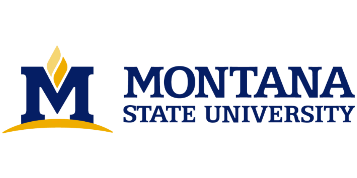 MSU Blue and Yellow Logo