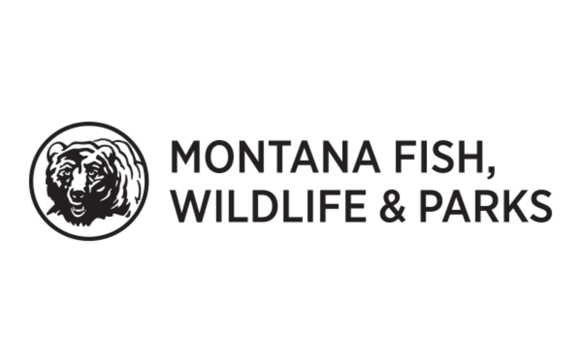 montana FWP logo with illustration of grizzly bear