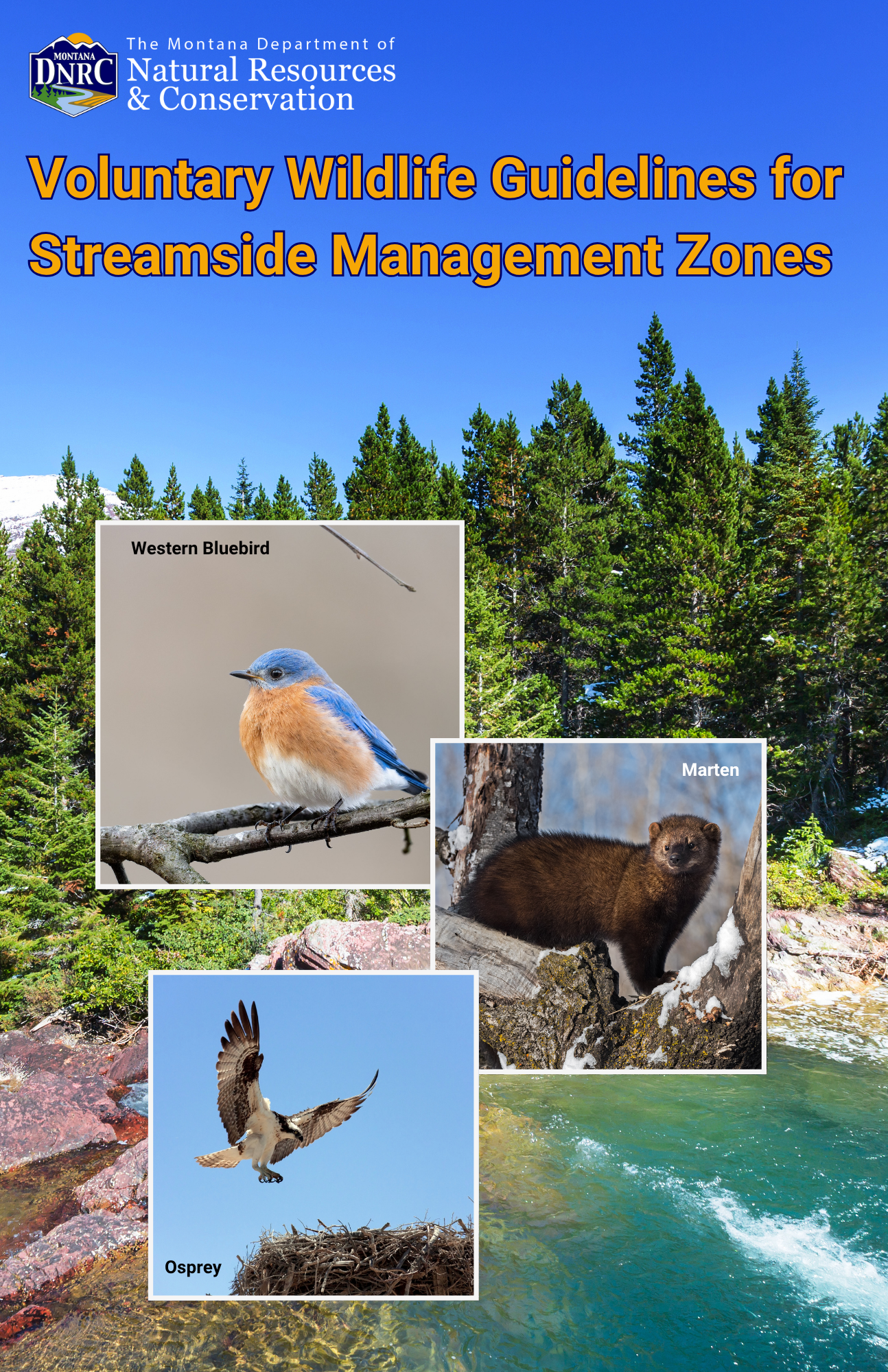 front cover with a Montana river and photos of a osprey, marten, and western bluebird