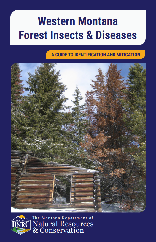 front cover of Western Montana forest insect and disease booklet with diseased Douglas firs in the winter