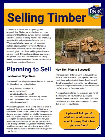 Front cover of Selling Timber Guide publication