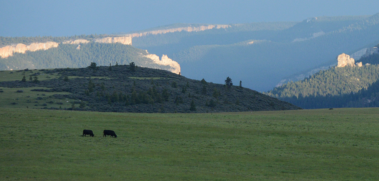 Bighorn Canyon (photo by Hale Harris)