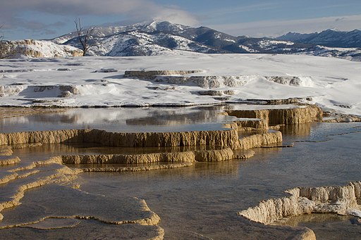 Terraces at Mammoth Hot Springs