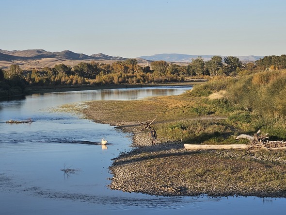 Riverbank near three forks montana