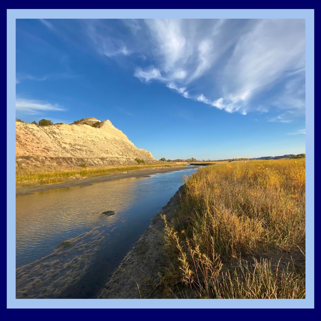 Richland County Project Button