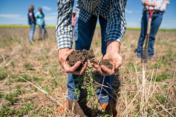 Holding Soil