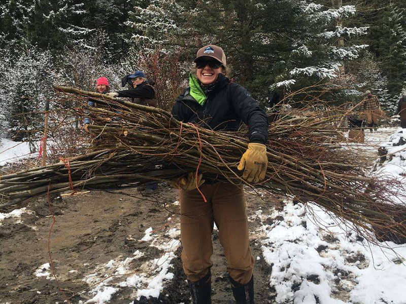 Person holding willow cuttings