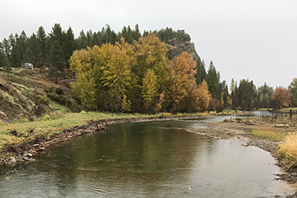 Tobacco River