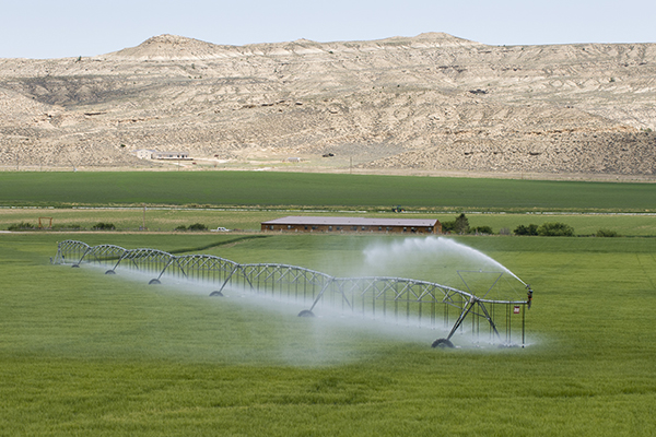 Irrigation