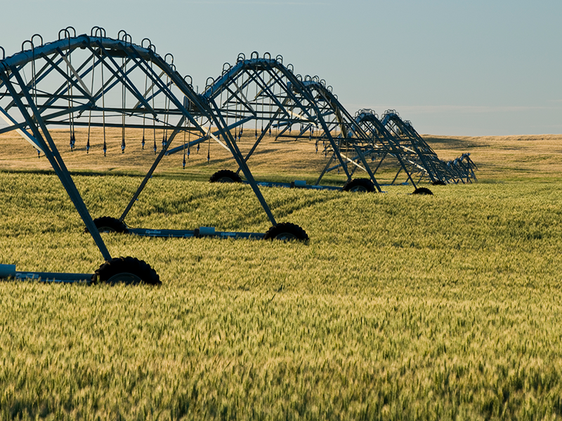 Irrigation