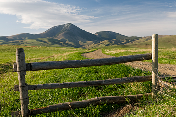 Rangeland