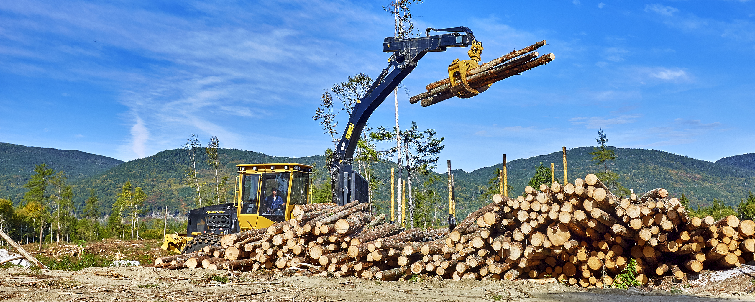 Trust Lands Forest Management