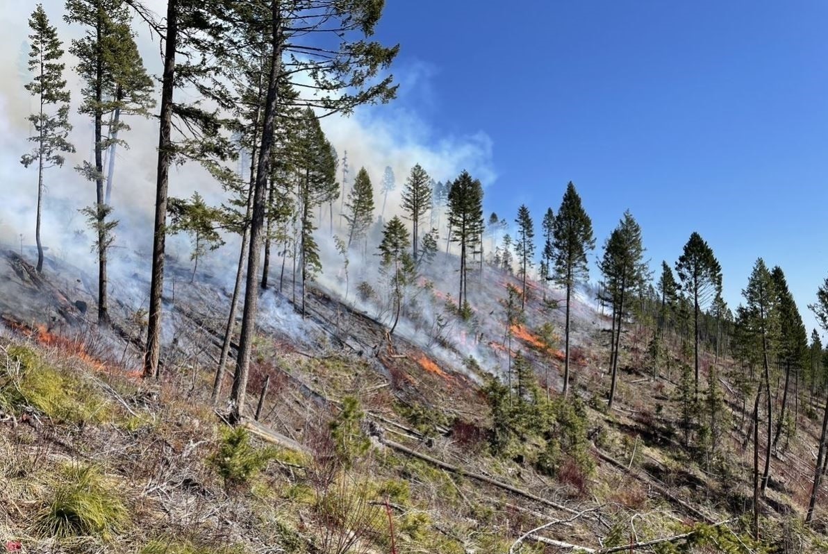 Prescribed forest burn.