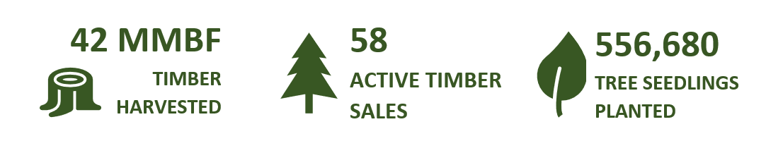 Forest management program 2024 statistics