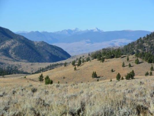 montana landscape