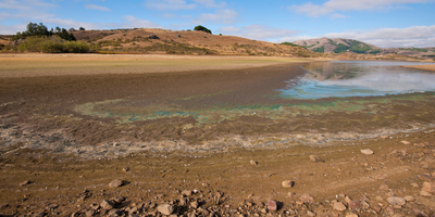 dried pond with algae