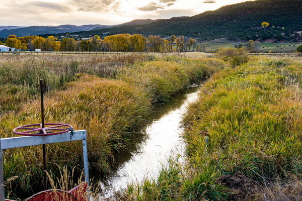 Irrigation ditch in field.